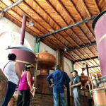 Tour "Parras de la Fuente" + Guía + Traslados + Tickets - The True Value of This Tour