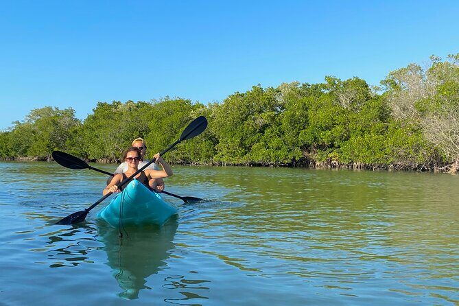 Tour the Mangroves in Kayak by Isla Holbox - The Practical Side: What to Expect
