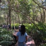 Tour to Celestún - The Realities of the Experience: What Travelers Say