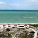 Tour to Celestun and see the flamingos - The Sum Up