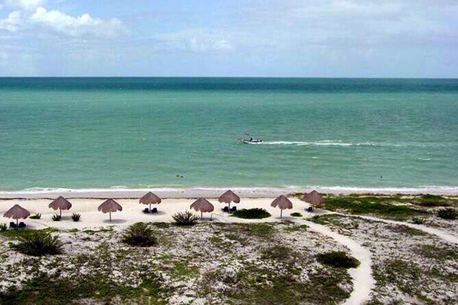 Tour to Celestun and see the flamingos - The Sum Up