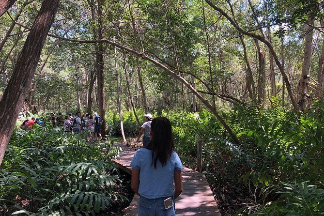 Tour to Celestún - The Realities of the Experience: What Travelers Say