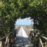 Tour to Cozumel Eco Nature Escape and Otoch Mayan Experience - The Sum Up