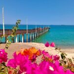 Tour to La Paz Playa Balandra Malecón and Todos Santos - Whats Included and Whats Not