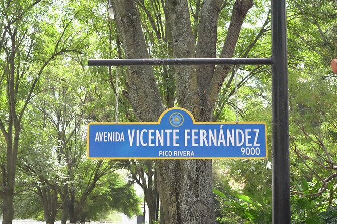 Tour to Lake Chapala, MAGIC TOWN of Ajijic from Guadalajara - Who Should Consider This Tour?