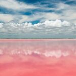 Tour to Las Coloradas Pink Waters and Boat Ride in Rio Lagartos with Lunch. - Authentic Experiences and Real-World Insights