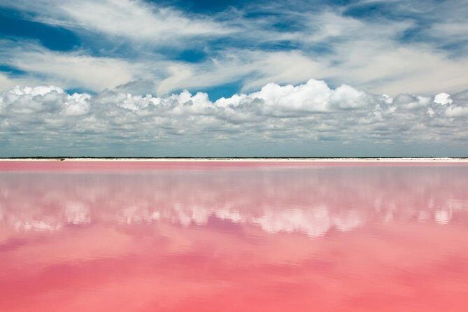 Tour to Las Coloradas Pink Waters and Boat Ride in Rio Lagartos with Lunch. - Authentic Experiences and Real-World Insights
