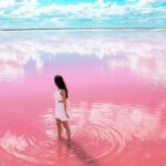 Tour to Pink Lake and Rio Lagartos from Cancun - Group Size and Convenience