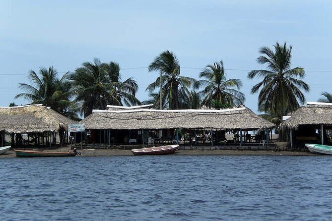 Tour to Puerto Arista and Boca del Cielo from San Cristobal - Final Thoughts