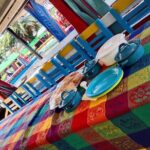 Tour to Xochimilco and Coyoacan and Frida Khalo - Coyoacán: Exploring the Artistic Heart of Mexico City