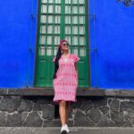 Tour to Xochimilco and Coyoacán: Frida Kahlo Museum - The Value of the Tour