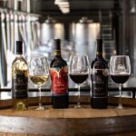 Tour & Wine Tasting at Viñedo San Miguel / San Bartolo Experience - Who Should Consider This Tour?