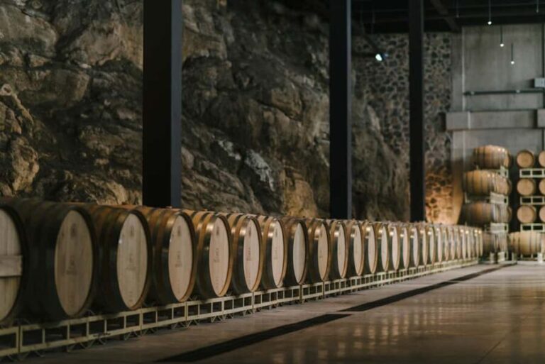 Tour & Wine Tasting San Miguel Vineyard / San Miguel Experience - Who Will Love This Tour?