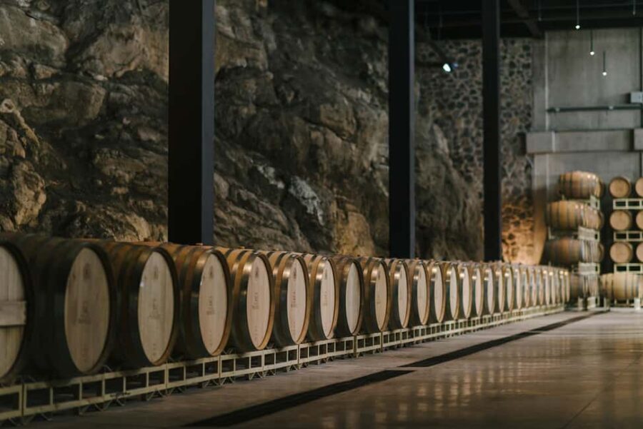 Tour & Wine Tasting San Miguel Vineyard / San Miguel Experience - Who Will Love This Tour?