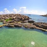 Tour Xcaret All Inclusive from Playa del Carmen - Included Transportation - Access and Facilities: What’s Included and Whats Not?