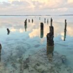 Tours_Puerto Vallarta_Private Transfer From Puerto Vallarta To Mazatlan_D630 137266P597 Review - Authentic Insights and Local Flavor