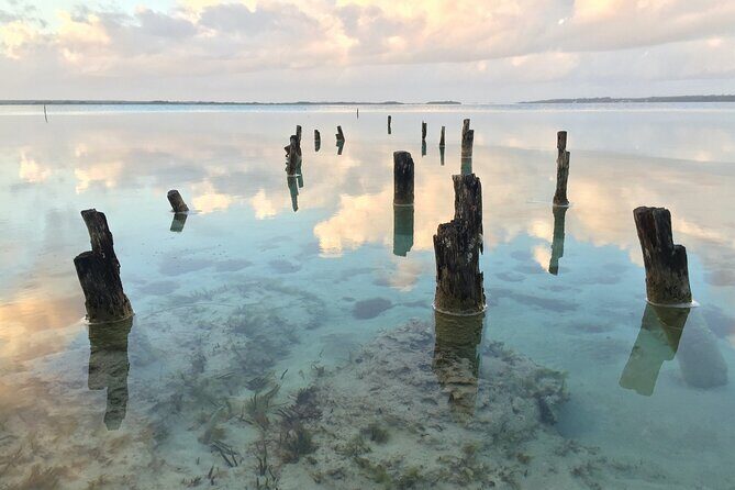 Tours_Puerto Vallarta_Private Transfer From Puerto Vallarta To Mazatlan_D630 137266P597 Review - Authentic Insights and Local Flavor