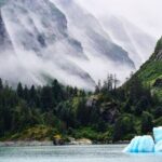 Tracy Arm Fjord and Glacier Explorer from Juneau - The Itinerary: From Fjord to Glacier