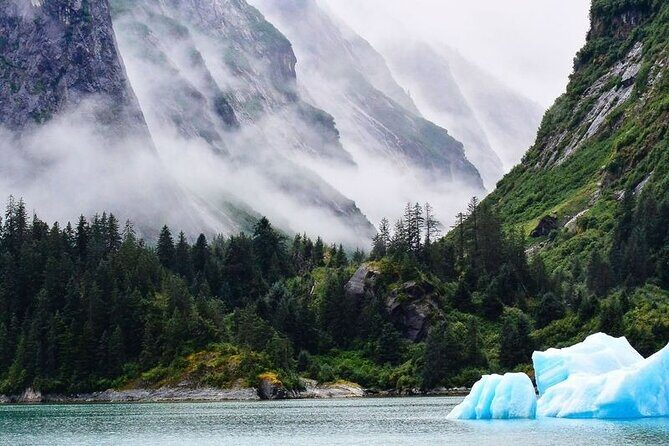 Tracy Arm Fjord and Glacier Explorer from Juneau - The Itinerary: From Fjord to Glacier