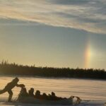 Traditional Dog Sledding Adventure in Yellowknife - The Sum Up: A Worthwhile Arctic Experience