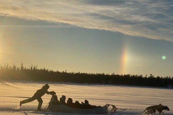 Traditional Dog Sledding Adventure in Yellowknife - The Sum Up: A Worthwhile Arctic Experience