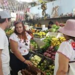 Traditional Family Kitchen in Cozumel - A Complete Breakdown of the Experience