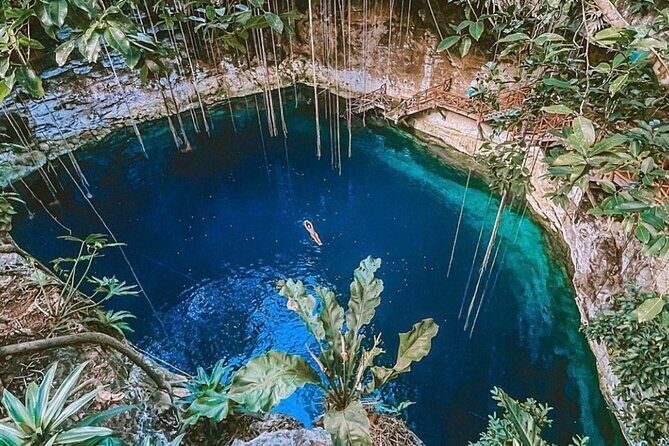Traditional Temazcal Ceremony and Cenote Experience - Analyzing the Value