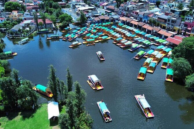 Trajinera ride in Xochimilco - Who Should Consider This Tour?