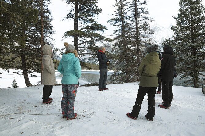 Transformative Winter Experiences in the Canadian Rockies - Authentic Feedback from Past Participants