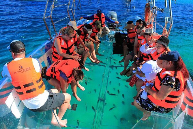 Transparent Boat Ride to Los Cabos Arch - Value and Practical Considerations
