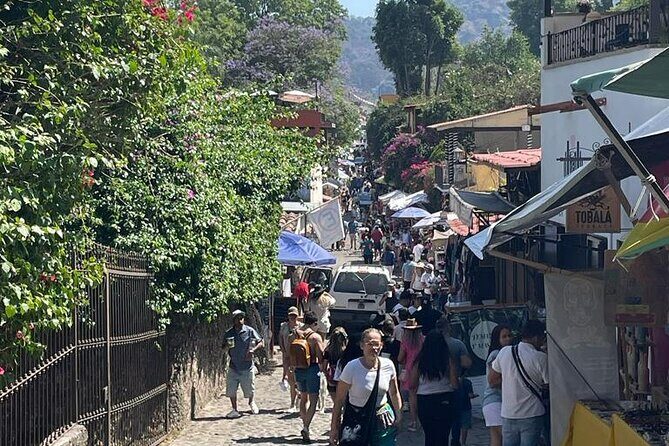 Transportation to the town of Tepoztlan next to Mexico City - Final Thoughts: Is This Experience Right for You?