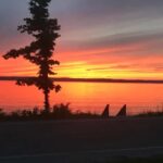 Traverse City: Old Mission Peninsula 4-Hour Sunset Wine Tour - Whats Included and Whats Not