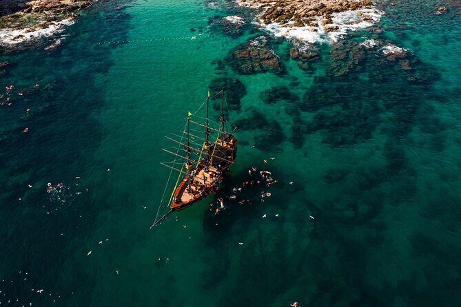 Treasure Hunt Snorkeling Lunch Cruise from Cabo San Lucas - What’s Included and What’s Not