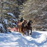 Tremblant Sleighride - Authenticity and Visitor Feedback