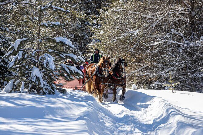 Tremblant Sleighride - Authenticity and Visitor Feedback