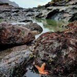 Trinidad: Elk Head Trail Guided Nature Walking Tour - Practical Details and Value