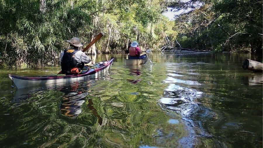 Trinity River Delta Explorer Tour - What Makes This Tour Special