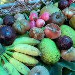 Tropical Fruit Hunting Tour at Grimal Grove - Who Will Love This Tour?