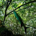 Try dive in beautiful Casa cenote for 2 people - Why This Tour Is Worth Considering