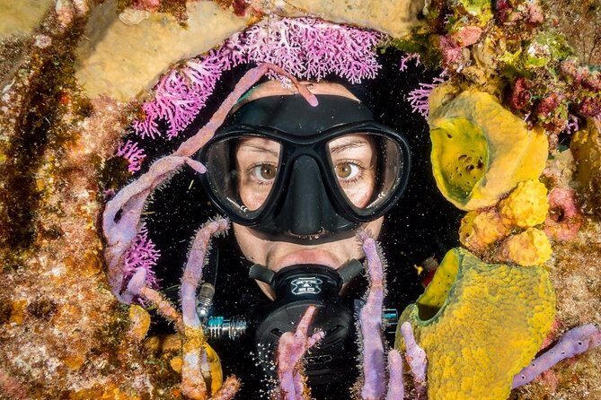 Try Scuba Diving - No previous experience! - Authentic Experiences and Feedback