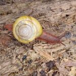 Tryon Creek Eco-tour With a Master Naturalist - The First Stop: Tryon Creek State Natural Area