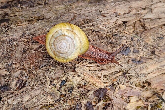 Tryon Creek Eco-tour With a Master Naturalist - The First Stop: Tryon Creek State Natural Area
