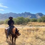 Tucson: Guided Horseback Ride - The Horses and the Instruction