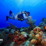 Tulum: 2 Tank Reef Diving - Practical Details and Value