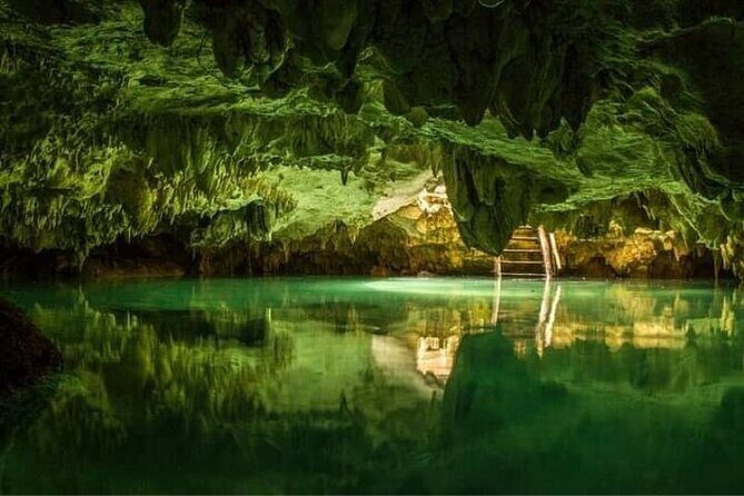 Tulum 4 Cenotes at home Turtle and Sculpture Mother Nature - Final Thoughts: Who Is This Tour For?