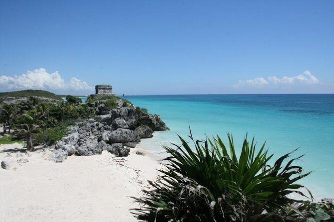Tulum and Cenote Casa Tortuga Day Trip - The Experience in Detail: What to Expect
