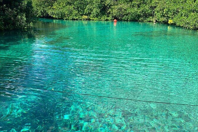 Tulum Area Experiences 2 Tank Guided Scuba Dives at Dos Ojos Cenote's + Lunch - Authentic Perspectives from Travelers