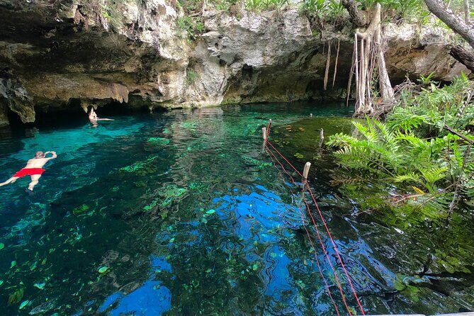 Tulum Area Guided Scooter Tour to 3 Cenote's, Snorkel/Swim & Local Lunch - What’s Included and What to Expect