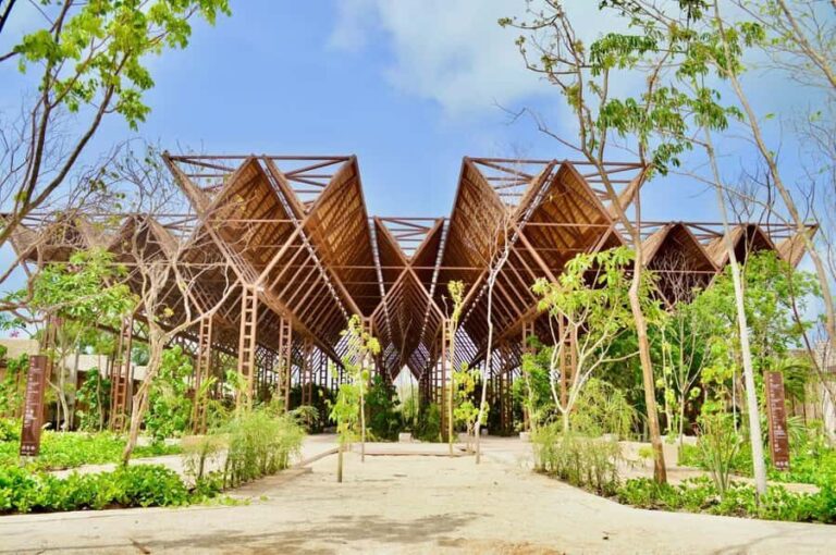 Tulum: Beach Club with Food and Drinks - Why This Tour Might Be Right for You