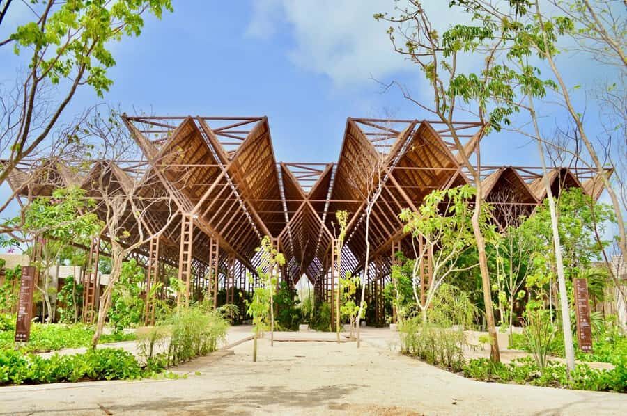 Tulum: Beach Club with Food and Drinks - Why This Tour Might Be Right for You